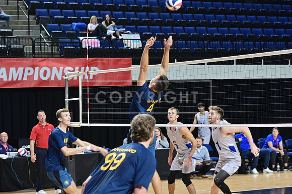 Vanguard Lawrence-0381