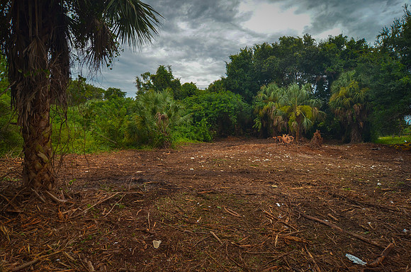 PuntaGProp0044