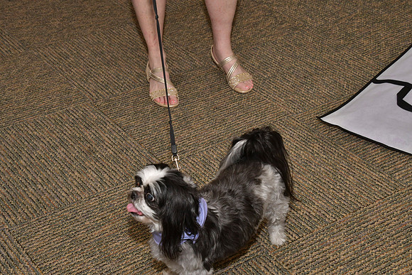 Lindsey Jacob Wedding-0071