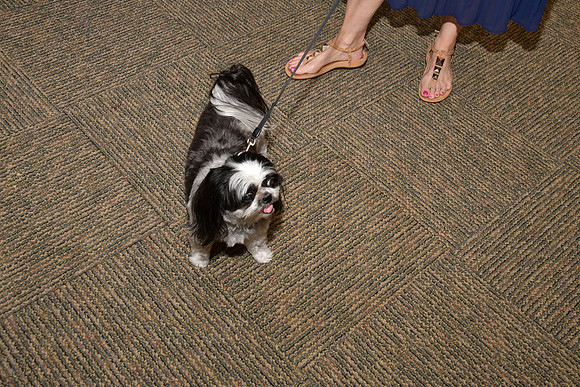 Lindsey Jacob Wedding-0055