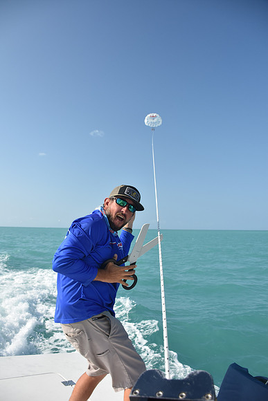 Hennessy Parasail-0024