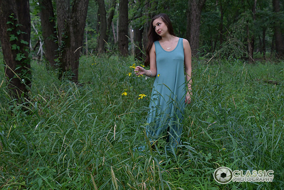 RH-0288