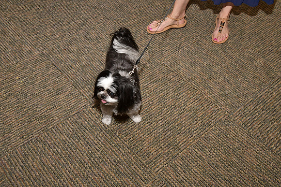 Lindsey Jacob Wedding-0056