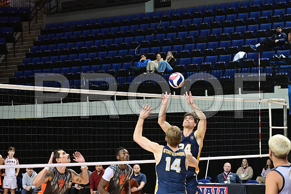 William Penn Quaz-0033